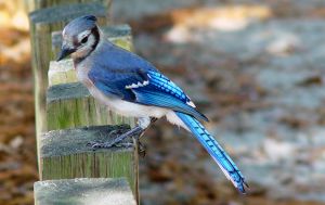 How You Can Find More Clients on Twitter