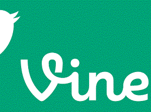 Companies are Using Vine – are You?